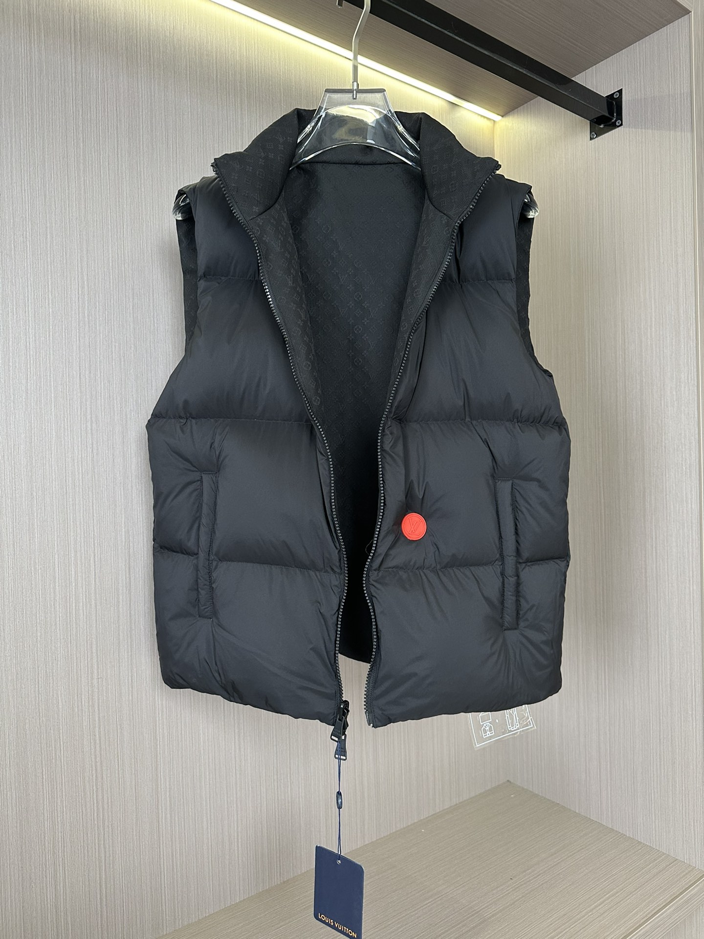 Louis Vuitton Down Jackets